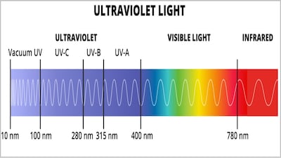 Whey Protein Production Needs Ultraviolet Light Option For Eliminating Contaminants – US Petition