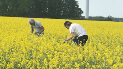 Thermo Fisher’s Allergen Farm: The ‘Secret Sauce’ Driving Its Diagnostic Progress