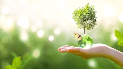 EU Green Claims Directive: Council Wants Lighter Touch, Especially For SMEs