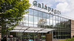 Galapagos Hopes For Third Time Lucky With De-Risked M&A Strategy