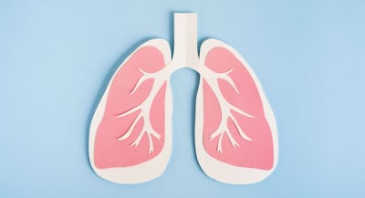 ArriVent Targets PACC Mutation Market With EGFR TKI Firmonertinib In Lung Cancer