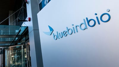 Bluebird Sees Commercial Growth For Gene Therapies, But Cash Remains An Overhang 