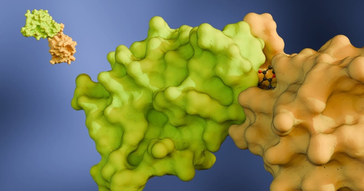 Monte Rosa Is Building The ‘Next RNAi’ Through AI-Powered Molecular ...