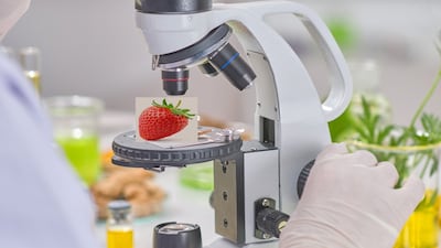 Novella Innovative Hires CEO In ‘Pivotal Year’ For Plant-Cell-Based Health, Wellness Ingredients