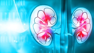 Still Looking For A Gene Therapy Hit, Syncona Backs Purespring In IgA Nephropathy Market