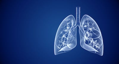 Boehringer, Bayer Kinase Inhibitors Offer Oral Option In HER2-Mutated Lung Cancer