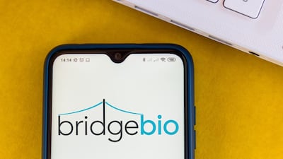 Bridgebio Ready To Challenge BioMarin In Achondroplasia