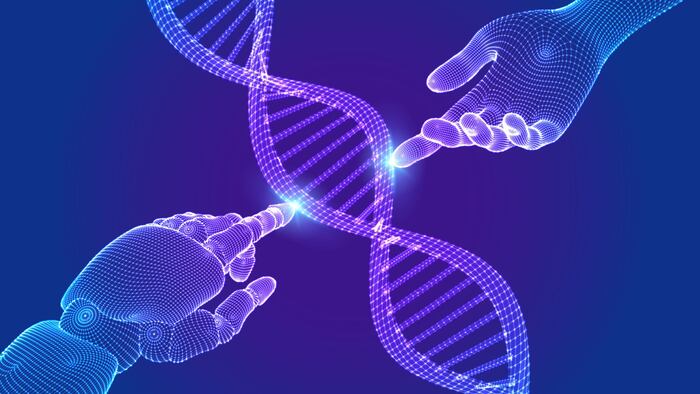 Wireframe DNA sequence molecules structure mesh. Hands of robot and human touching on DNA connecting in virtual interface on future. Artificial intelligence technology concept. Vector illustration.