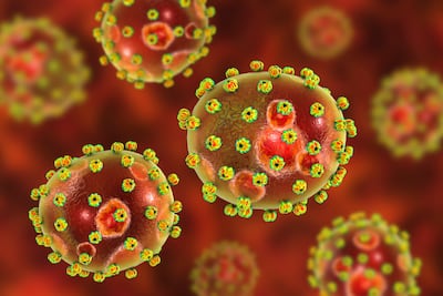 First Lassa Fever Vaccine Wins EMA PRIME Designation; Advanced Therapies Dominate 2024 Entries  