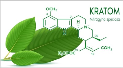 Kratom Industry Argues FDA Wants To Label All Products As Adverse Events Without Evidence