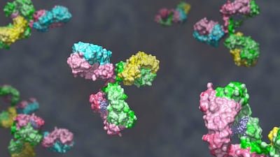 The New Antibodies Revolutionizing Medicine