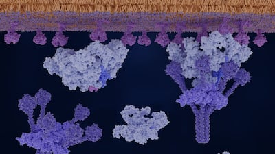 Alexion Explores Complement Cascade To Defend C5 Leadership