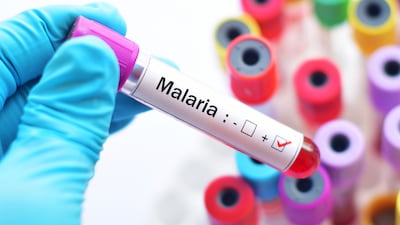 Fresh Funds For Trials Of Novartis’s Novel Malaria Combo In Africa 