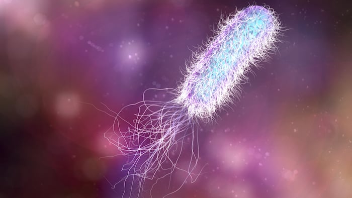 Polyphor Polyphor Pursues Promise Of Inhaled Antibiotics To Tackle Lung Infections