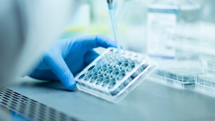 Making medicines more affordable to the NHS