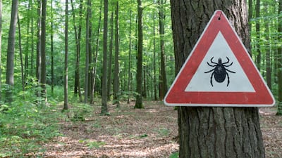 Tarsus Demonstrates Lotilaner’s Potential In Preventing Lyme Disease