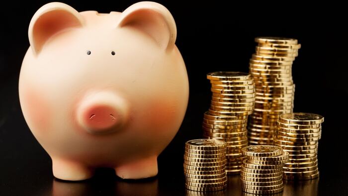 Piggy bank by a pile of cash