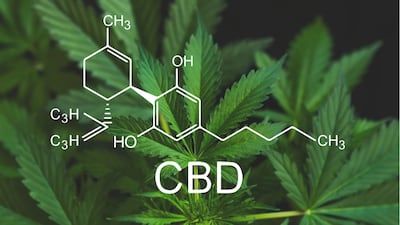 Medical Marijuana Inc. Stands By EU CBD Approval As Media Reports Call Into Question Firm's Claims