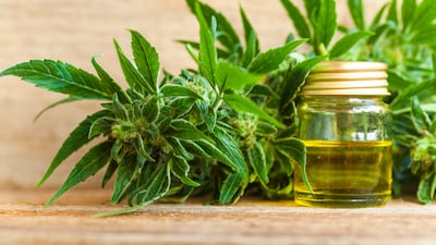 First UK CBD Novel Food Authorizations Expected In 2025