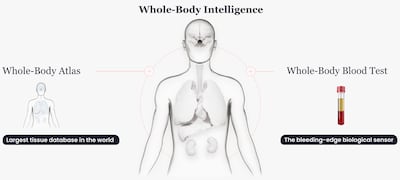Curve Biosciences Targets Liver Disease With ‘Whole-Body Intelligence’ Platform 