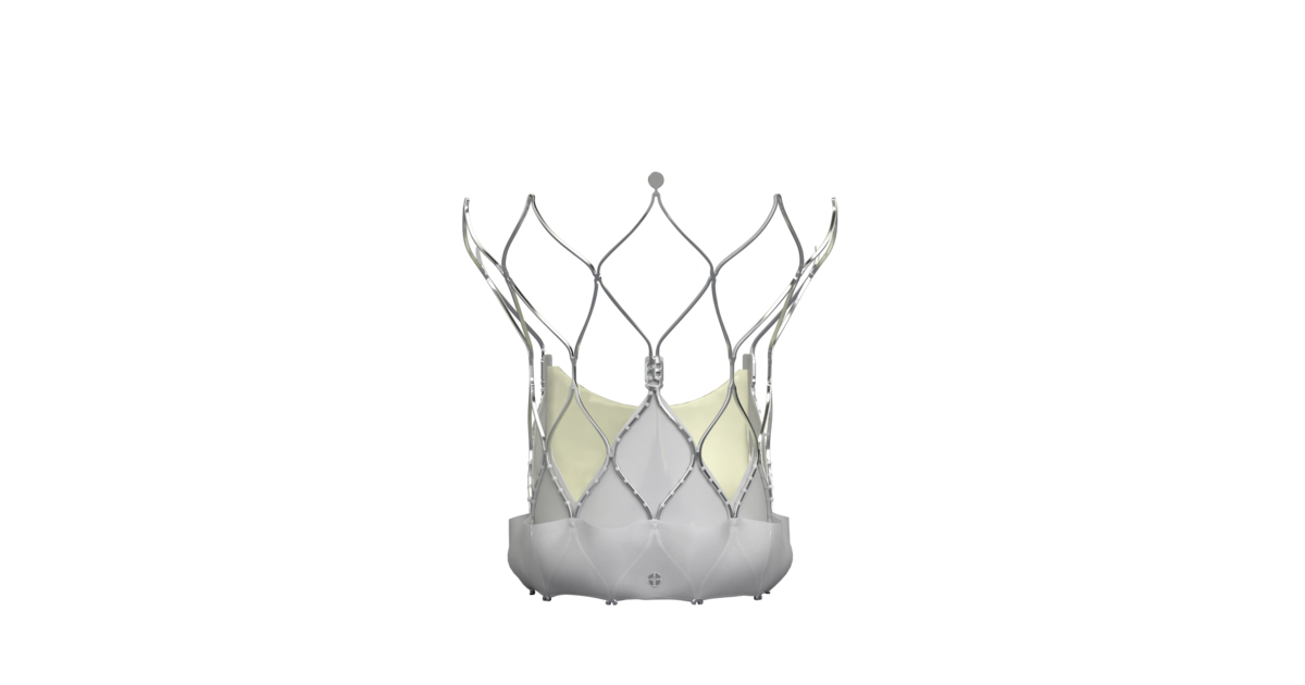 Tavr Icon Abbott’s Navitor TAVR Wins CE Mark Expansion, New Guidelines Allow ...
