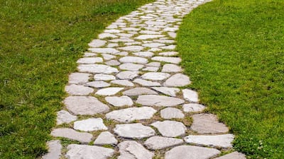 Early Planning, Robust Clinical Response Key To US FDA’s Plausible Mechanism Pathway 