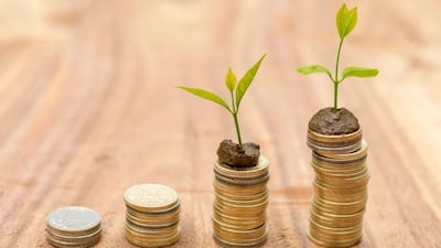 Excited About AI, Skeptical Of The Price Tag: Seed Investors Sound Off