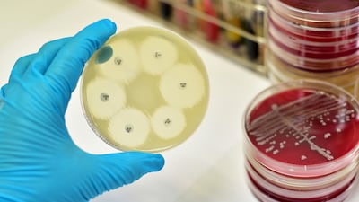 Surveillance Data: The Key To Tackling AMR In Africa