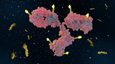 Roche Adds To Its Antibody Armoury With OBT Alliance 