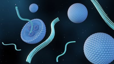 Chinese siRNA Contenders Set For Transitions, Deals In 2026