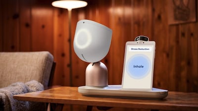 Intuition Robotics Is Trying To Build A Market For Robotic Companions, Launches ElliQ In US