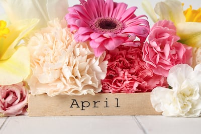 US FDA’s April User Fee Goals Give Biologics Center A Chance To Shift 2026 Narrative  