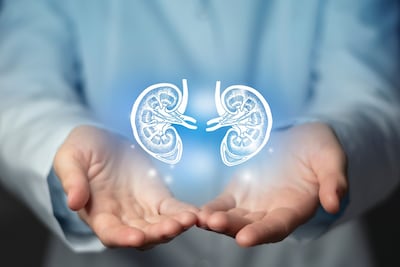 R1 Therapeutics Raises $77.5m Series A To Fund Development Of Kidney Disease Therapy AP306