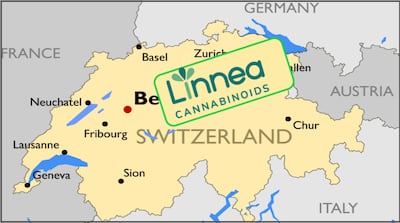 Get To Know: Linnea Brings Decades Of Drug Ingredient Experience To Pharma Cannabinoids