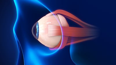 Adverum, 4D Molecular Present Dueling Phase II Datasets In Wet AMD