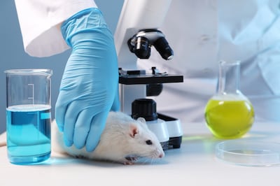 ‘Animal Testing’ Cut From FDA’s Drug Development Regs, Furthering Embrace Of New Approach Methods 