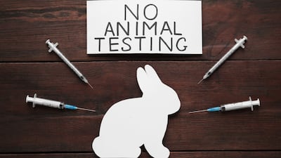 India Non-Animal Testing Methods: Outlook And Near-Term Opportunities
