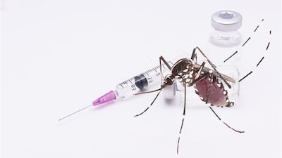 Global First Approval For Takeda's Dengue Vaccine, In Indonesia