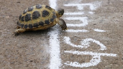 Investing In Digital: Slow And Steady May Win This Race