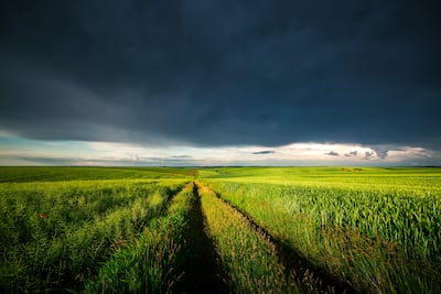 Review Consistency, Not Quantity, US FDA’s Biggest Challenge With 2026 Novel Agents 