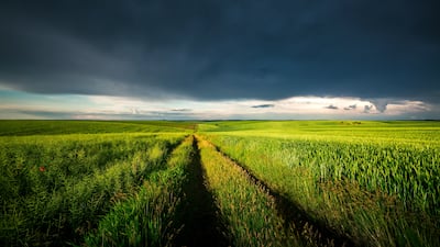 Review Consistency, Not Quantity, US FDA’s Biggest Challenge With 2026 Novel Agents