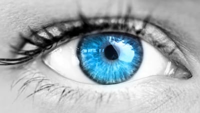 Wet AMD Market Snapshot: A High-Growth Market Poised For Change