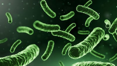 Asia Pacific Expected To Account For Half Of Global Probiotics Sales This Year