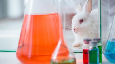 In Vitro Triumph: European Pharmacopoeia Abolishes Rabbit Pyrogen Test