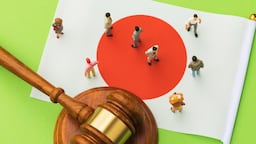 Japan Set To Approve Broad Revisions To PMD Act