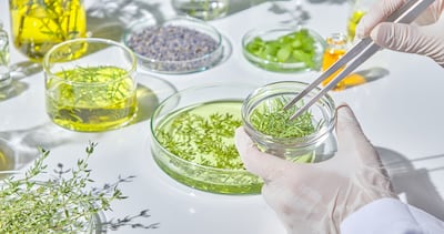 Activ’Inside Takes Closer Look At Botanicals With Research Partnership