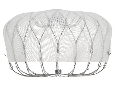 Boston Scientific Eyes Expanded Watchman Indication After CHAMPION-AF Results; Analysts Flag Caveats