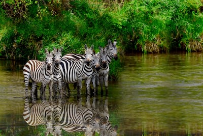 US FDA’s Rare Pediatric Disease Flexibility Rhetoric Undermined By Regenxbio’s CRL 