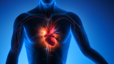 EMA Tackles Rising Cardiovascular Risks Of Cancer Treatments